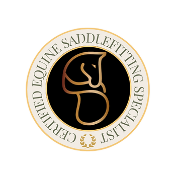 Gecertificeerd Equine Saddlefitting Specialist