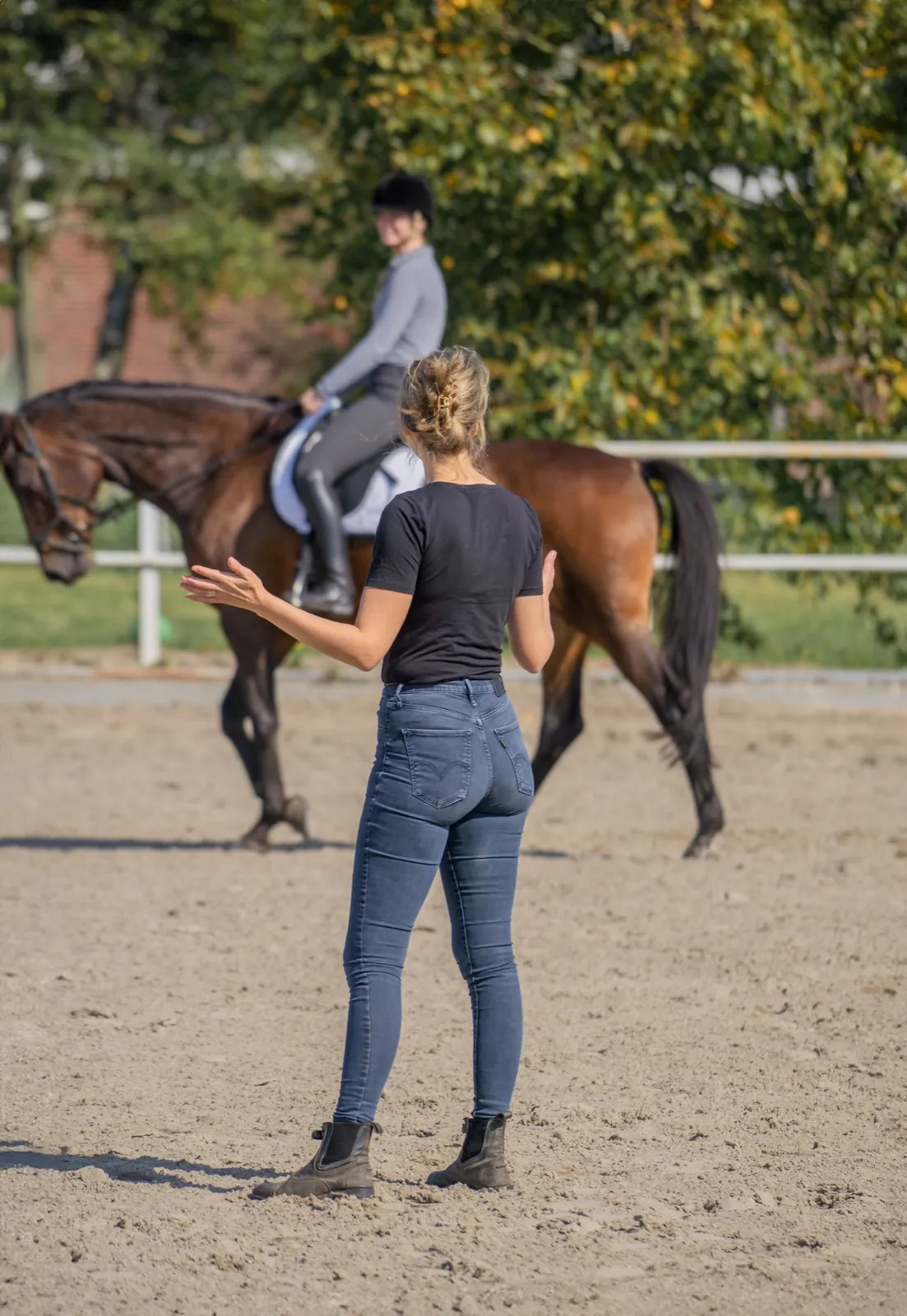 Aleta bekijkt een paard met ruiter in beweging
